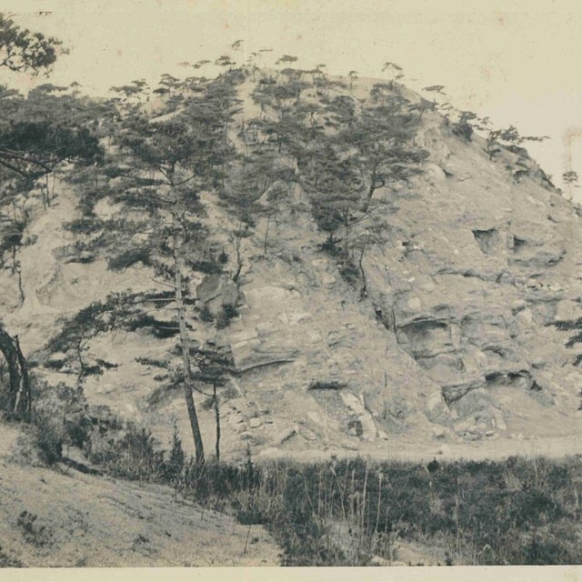 作業写真の画像