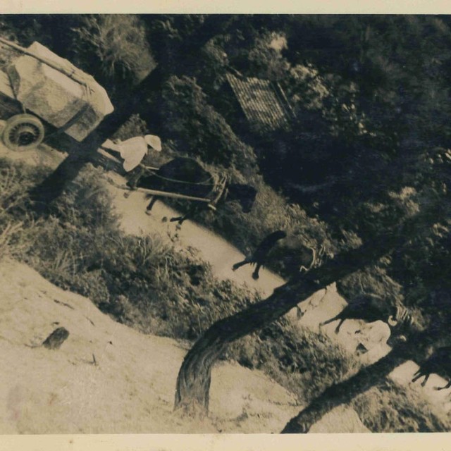 作業写真の画像