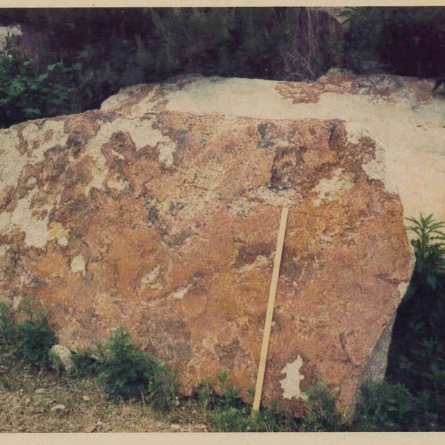 作業写真の画像