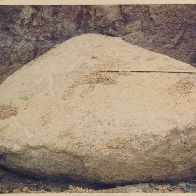 作業写真の画像